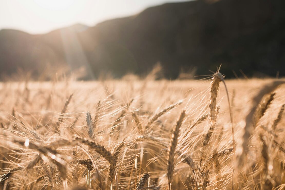  Choosing Destinations Based on Energy, Not Popularity