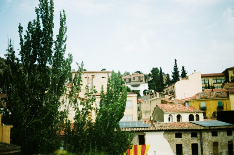 Seeing Home Through New Eyes